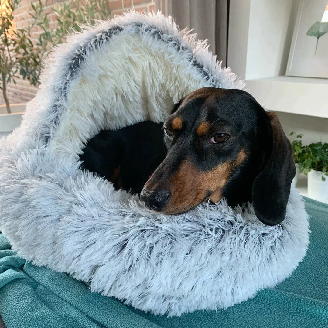 LUMINARA - The Premium Pet Bed