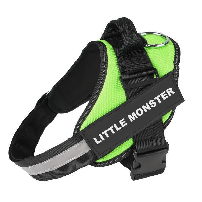 LUMINARA - Personalized No Pull Dog Harness