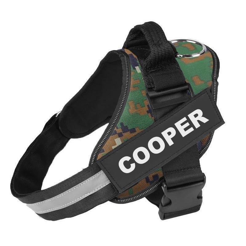 LUMINARA - Personalized No Pull Dog Harness