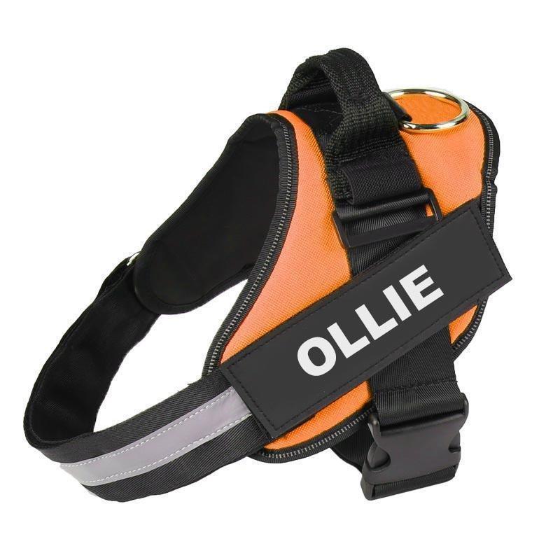 LUMINARA - Personalized No Pull Dog Harness
