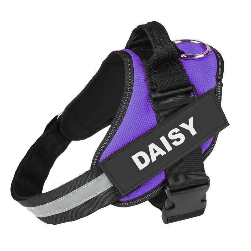 LUMINARA - Personalized No Pull Dog Harness
