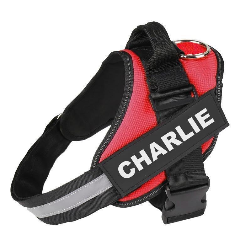 LUMINARA - Personalized No Pull Dog Harness