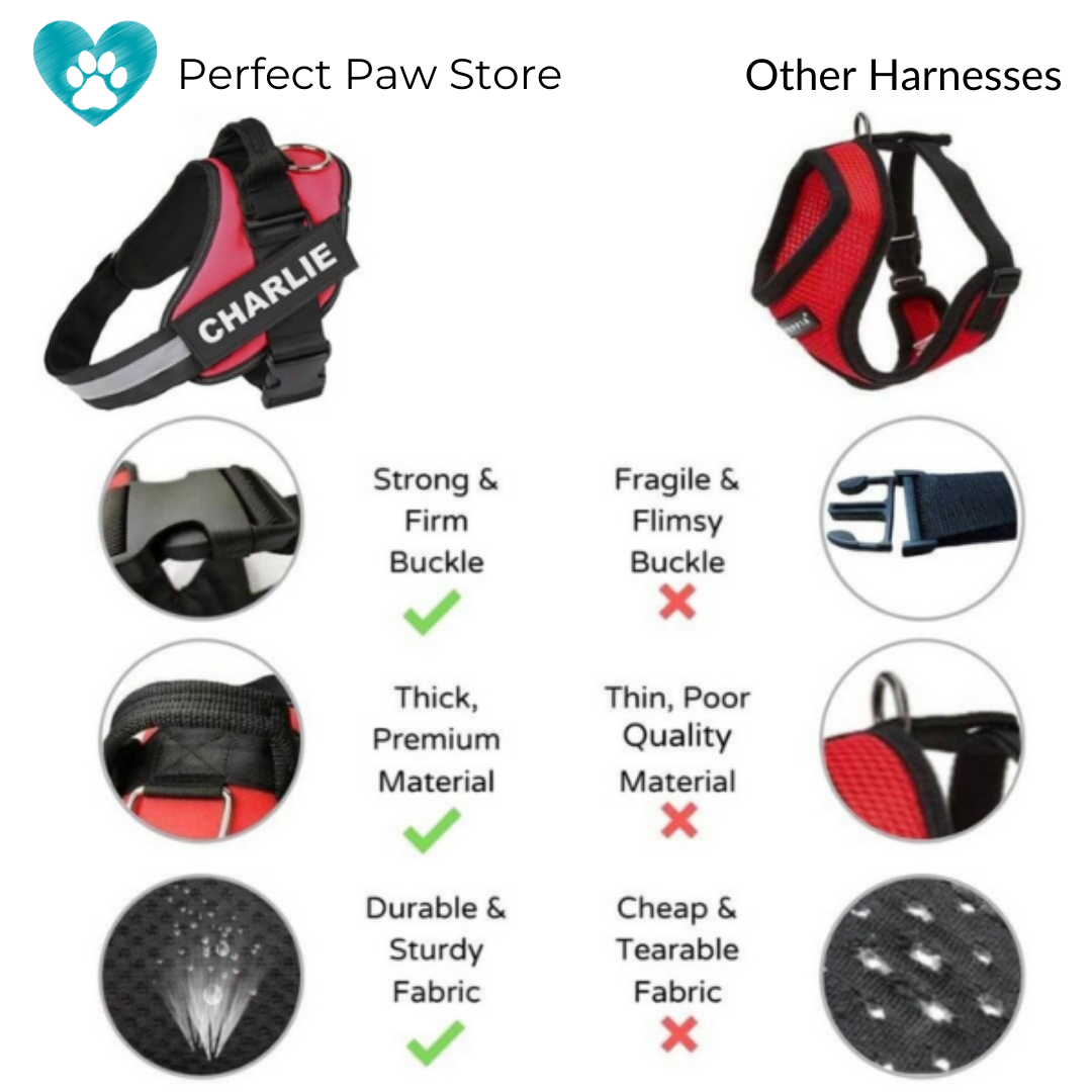 LUMINARA - Personalized No Pull Dog Harness