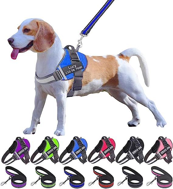 LUMINARA - Personalized No Pull Dog Harness