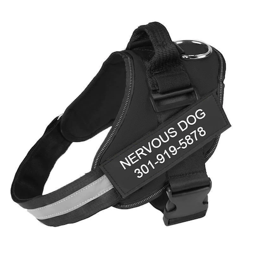LUMINARA - Personalized No Pull Dog Harness