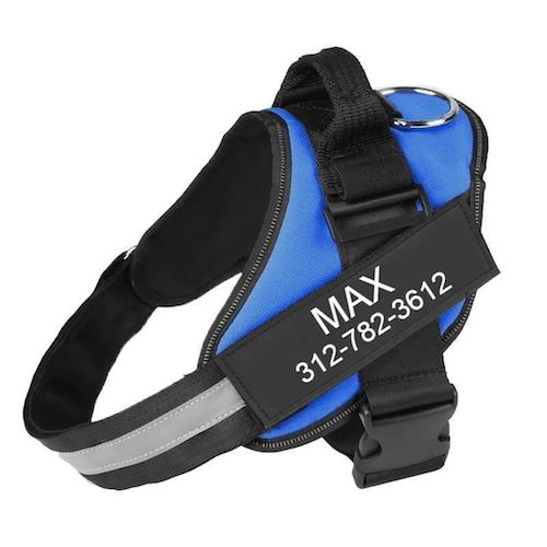 LUMINARA - Personalized No Pull Dog Harness