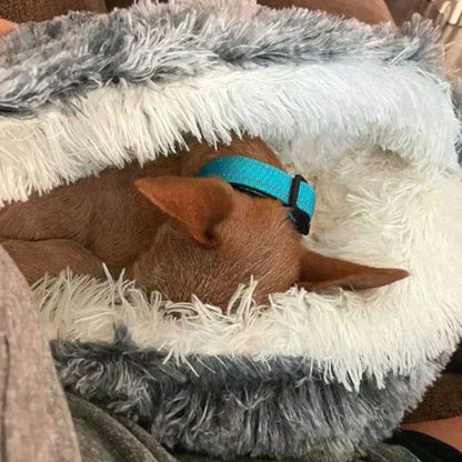 LUMINARA - The Premium Pet Bed