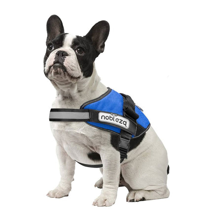 LUMINARA - Personalized No Pull Dog Harness