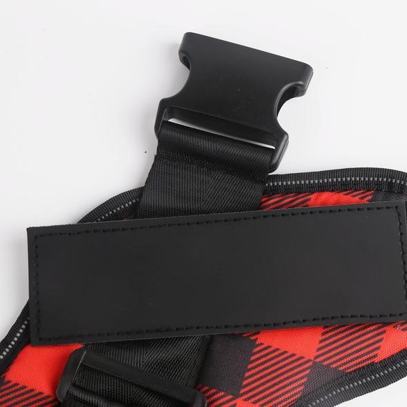 LUMINARA - Personalized No Pull Dog Harness