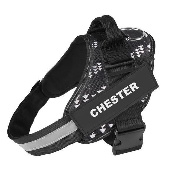 LUMINARA - Personalized No Pull Dog Harness
