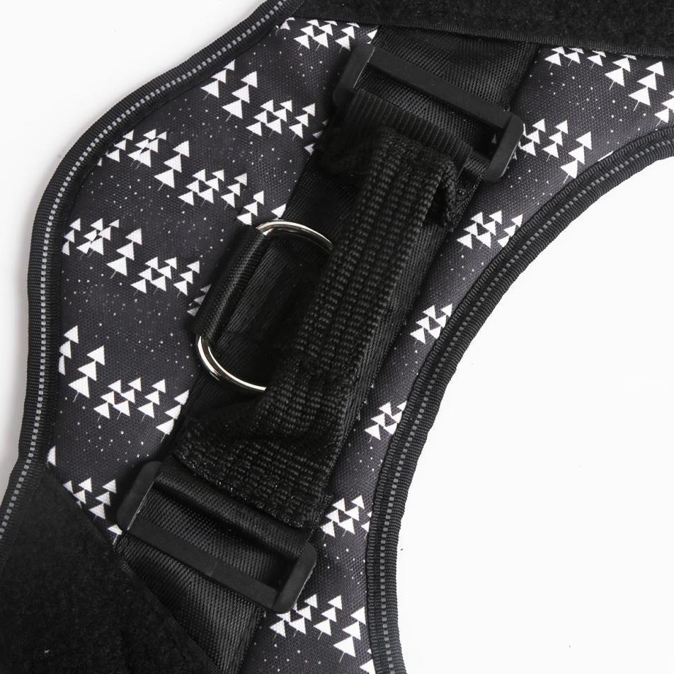 LUMINARA - Personalized No Pull Dog Harness