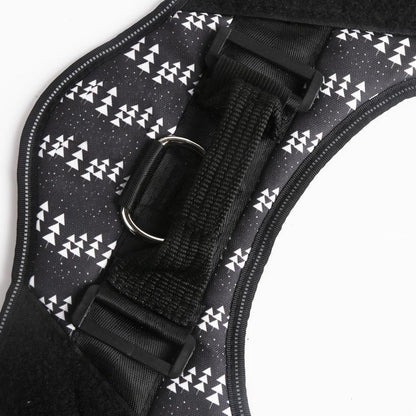 LUMINARA - Personalized No Pull Dog Harness