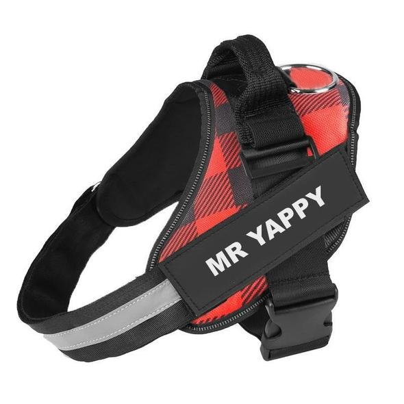 LUMINARA - Personalized No Pull Dog Harness