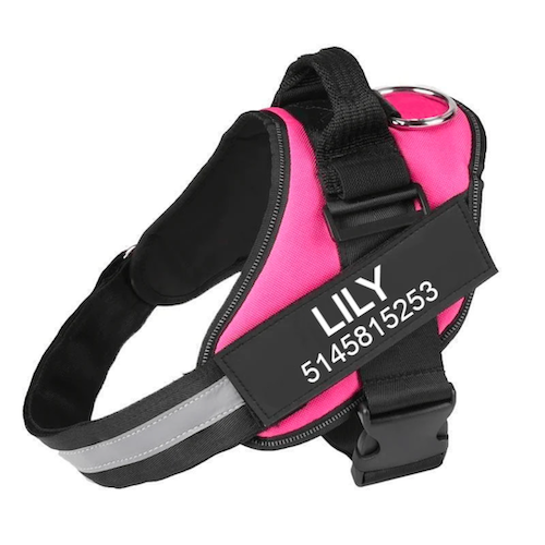 LUMINARA - Personalized No Pull Dog Harness